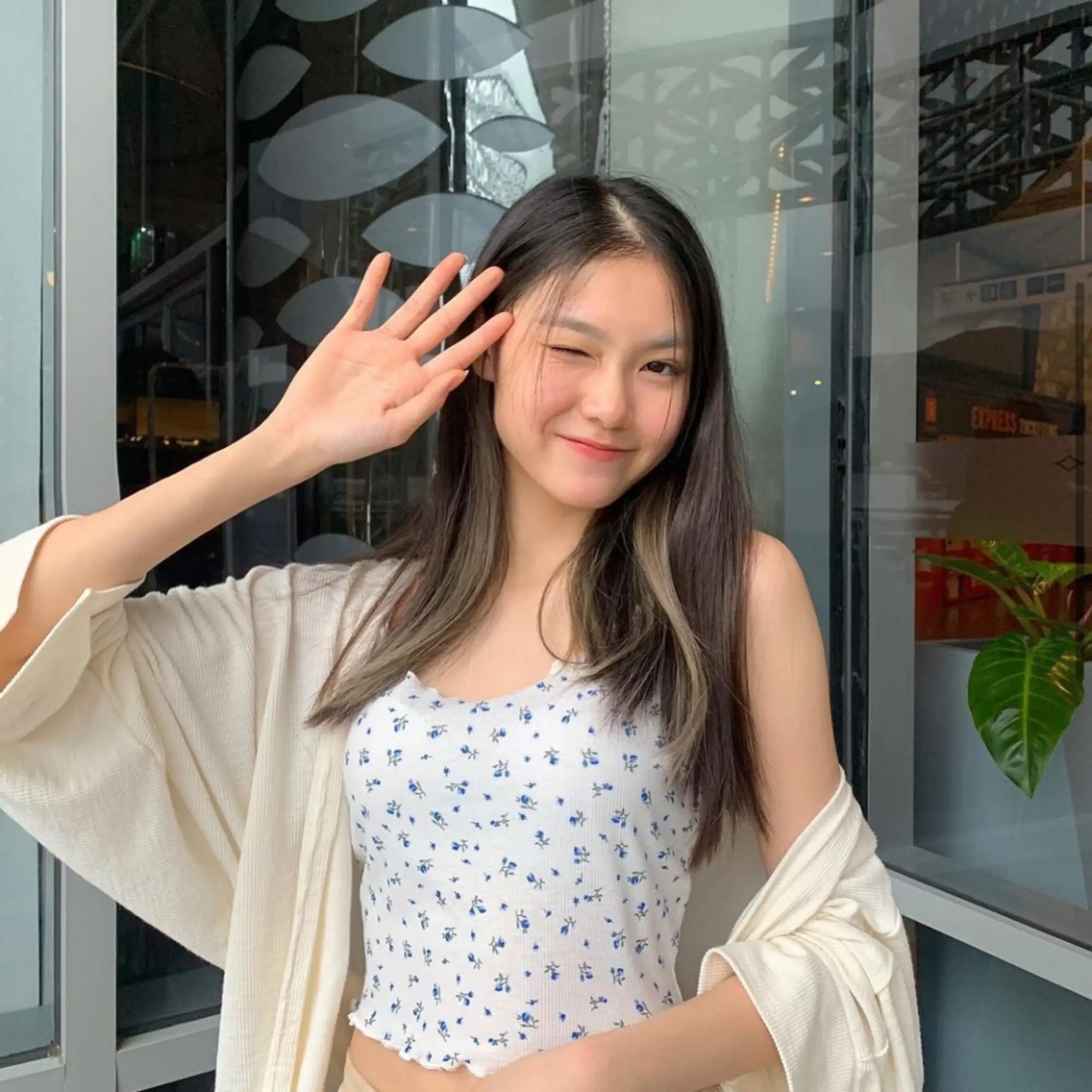 中的翘楚