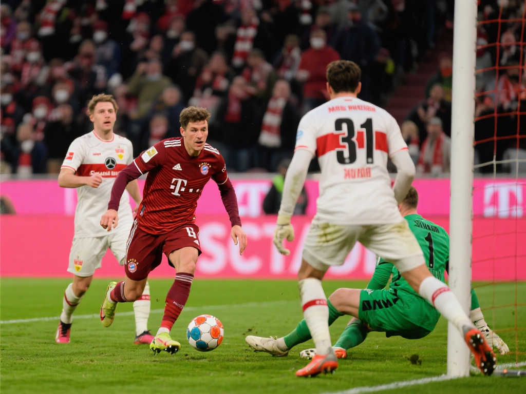 球迷的一种 球迷的一种